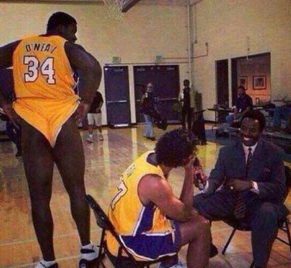 会传导的侧 会传导的侧